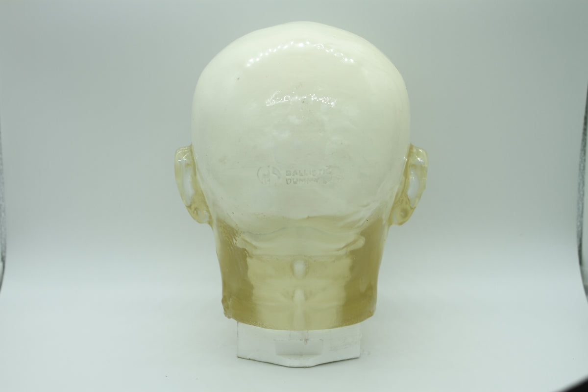 BDL002 anatomical head target detail