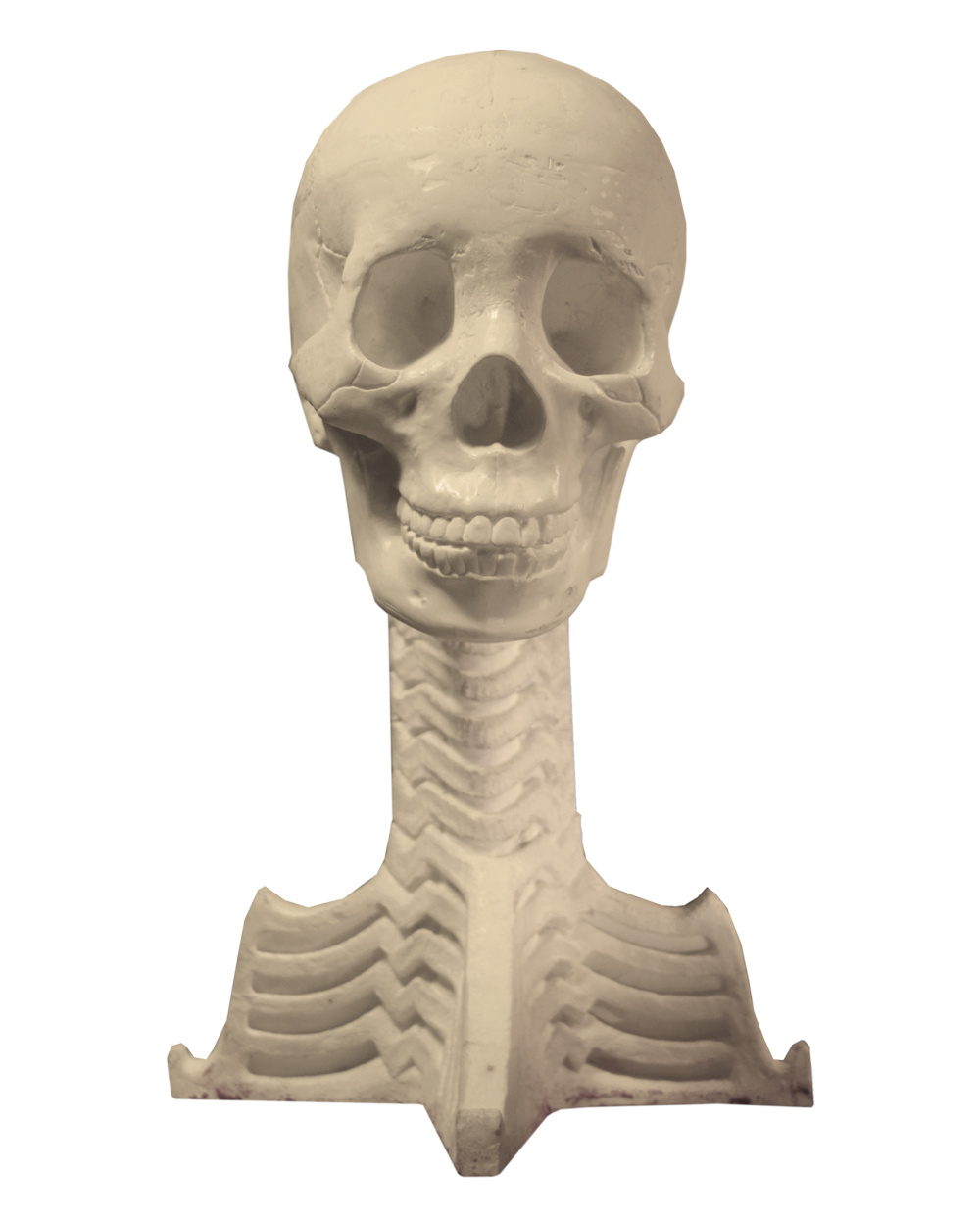 Arnold skull target head