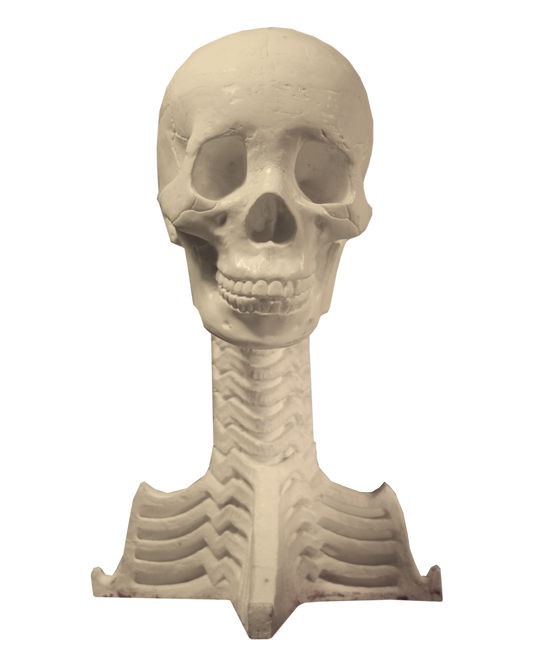 Arnold skull target head