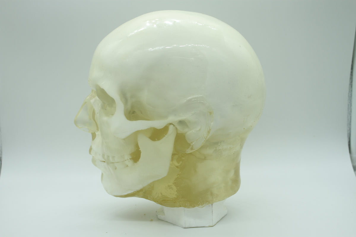BDL002 anatomical head target, angled view