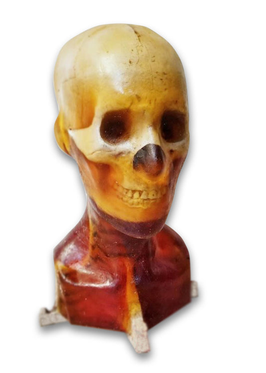 Sammie synthetic ballistic gel head target, front view
